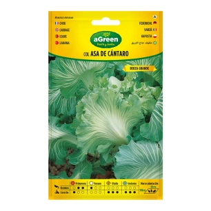 À Propos De Seeds College Asa De Cantaro 000250bolsh Daccord - AGREEN