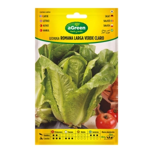 Graines Laitue Roma Verte Longue 000440bolsh Agreen - AGREEN
