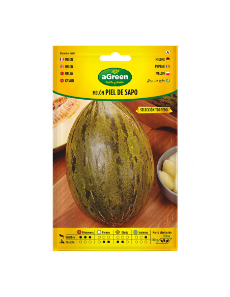 Graines Melon Piel de Sapo Melon d'été à chair sucrée - AGREEN