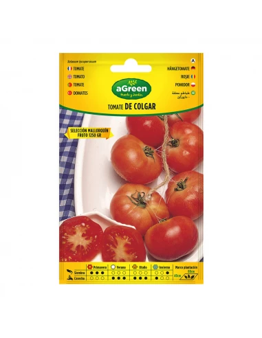 Sur Semences Suspendues Tomate Mallorquin 000714bolsh Daccord - AGREEN
