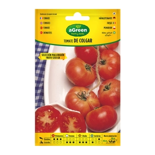 Sur Semences Suspendues Tomate Mallorquin 000714bolsh Daccord - AGREEN