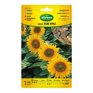 Graines De Tournesol Pour Tuyaux 301024bolsh Daccord - AGREEN