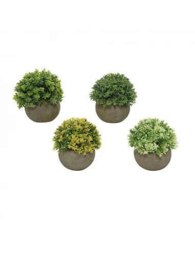 Plante Artificielle Avec Pot En Plastique Modèles Assortis 800297 - EVERLANDS FLOWERS AND PLANTS
