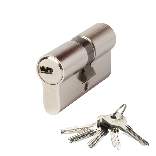 Asix Cylindre 30x30 Nickelé Came Courte 1.0e300.07.0.12sz.C5 Cisa - CISA