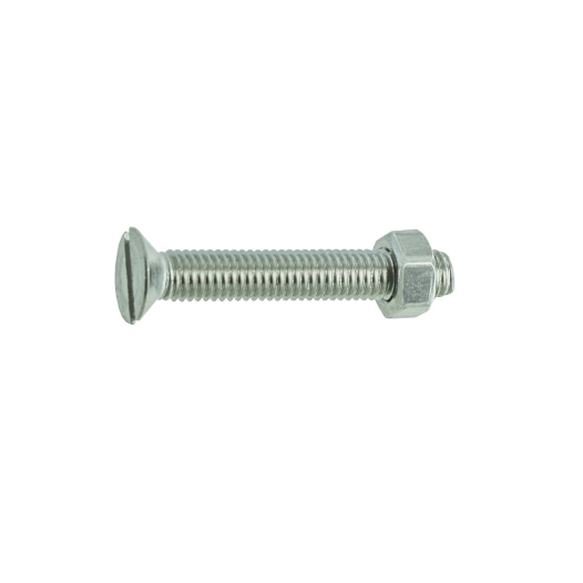 Boulon TF inox A4 5x30 Sécurisac 12 PCE - VYNEX