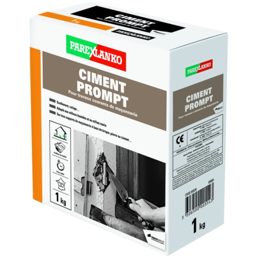 Ciment Prompt 1 Kg - PAREX LENKO