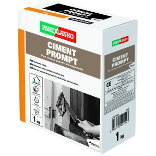 Ciment Prompt 1 Kg - PAREX LENKO