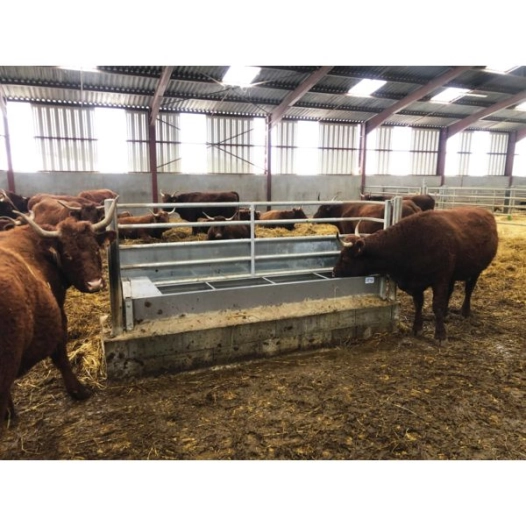 Abreuvoir Inox Grand Volume 360 L