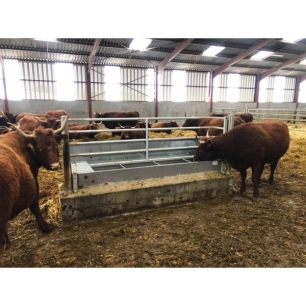 Abreuvoir Inox Grand Volume 360 L