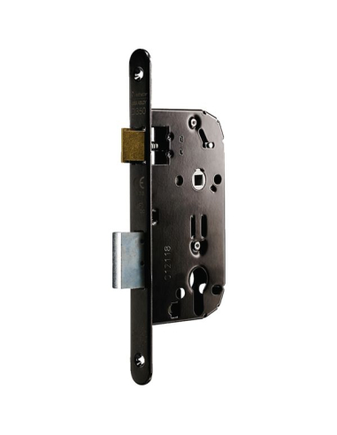 Gâche Plate G350 Sécurité renforcée pour porte - ASSA ABLOY
