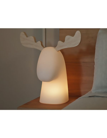 Cerf Lumineux Rudy