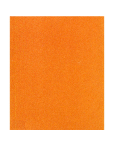 Feuille Abrasive Silex G80 Ponçage grossier multi-surfaces - SCID