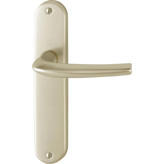 Poignée de porte alu sur plaques courtes san diego entraxe 165 coloris f2 champagne - hoppe