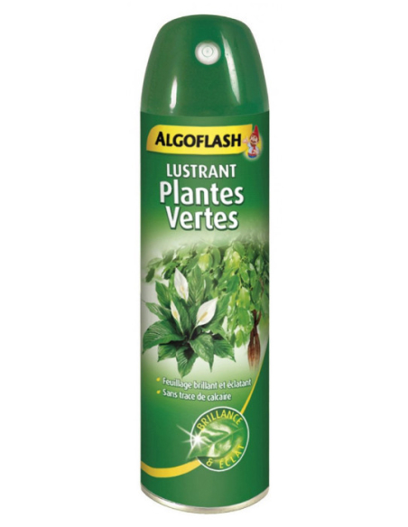 Lustrant Plantes Vertes Aérosol 250ml - ALGOFLASH