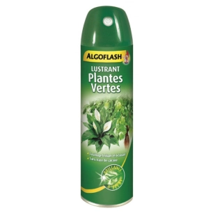 Lustrant Plantes Vertes Aérosol 250ml - ALGOFLASH