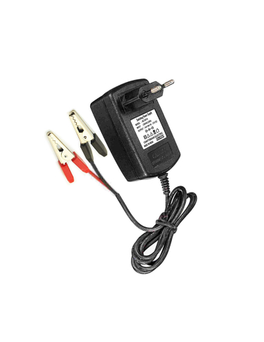 Chargeur De Batterie 12v 4ah 4131996esp Pastormatic