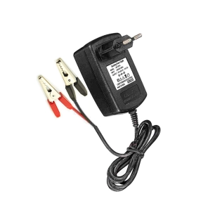 Chargeur De Batterie 12v 4ah 4131996esp Pastormatic