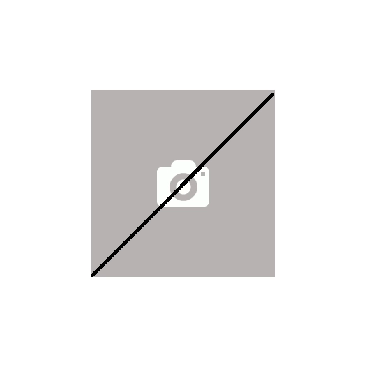 gicleur delavan 0,60g 60° a