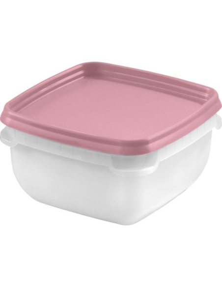 lot de 4 Boîtes de congélation de 0,75 L - couvercle rose