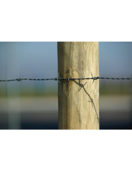 Barbelé Ronce 1,7mm Protection périmétrique dissuasive - dirickx industries