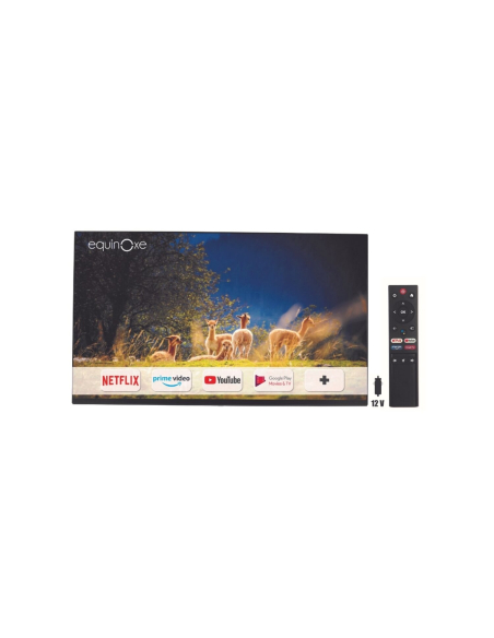 Moniteur Smart Android bluetooth TV Full HD 27' / 69cm - EQUINOXE