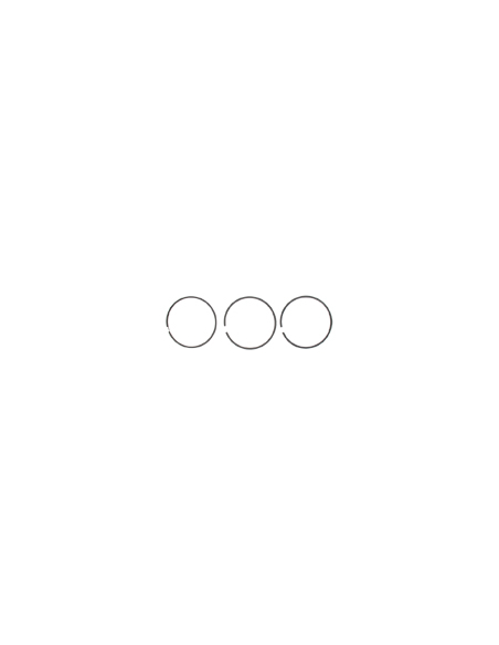 Jeu De Segments Pour Moteurs Modèles 442577, 446677, 446777, 44677a, 446877 Et 446977 - Origines : 697683, 446777.