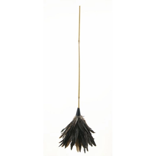 Plumeau Coq Naturel Jonc 70