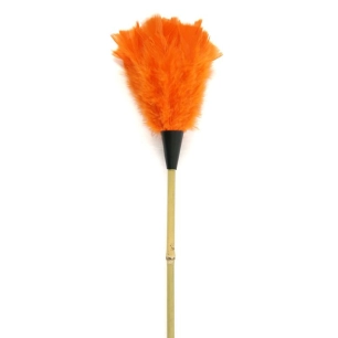 Plumeau Dinde Jonc 70