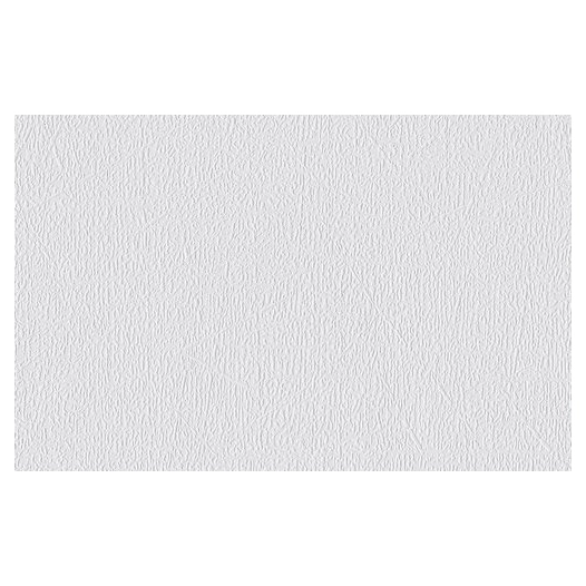 18.75 1003241 - Vliesfaser 781 PRO