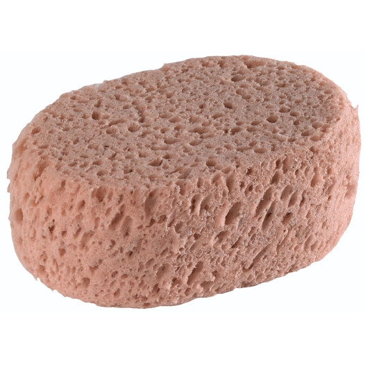 Éponge Synthétique Ovale Hydrograttante - L'OUTIL PARFAIT