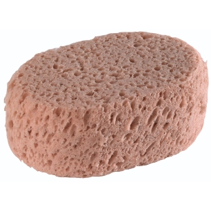 Éponge Synthétique Ovale Hydrograttante - L'OUTIL PARFAIT