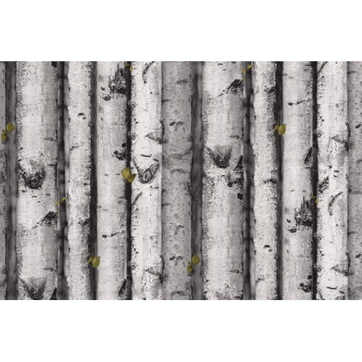 21065 Adhésif Classic Tronc 45cmx1,5ml - ACCESS DECO