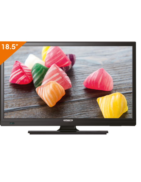 TV 19'' - Antarion