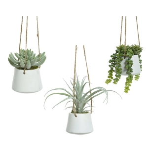 Plante Grasse Artificielle Suspendue Modèles Variés 800073
