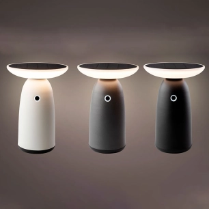 Lampe Solaire Avec Allumage Tactile De 22cm Couleurs Variées 897850