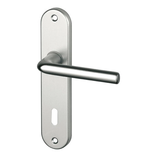 Ensemble Courchevel alu argent sur plaque clé - ALPERTEC