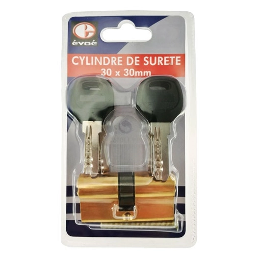 Cylindre 60mm + 5 clés sécurité - EVOE
