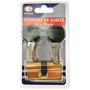 Cylindre 60mm + 5 clés sécurité - EVOE