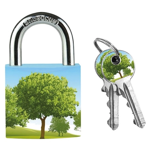4 Cadenas en métal massif 30mm motifs assortis - MASTER LOCK
