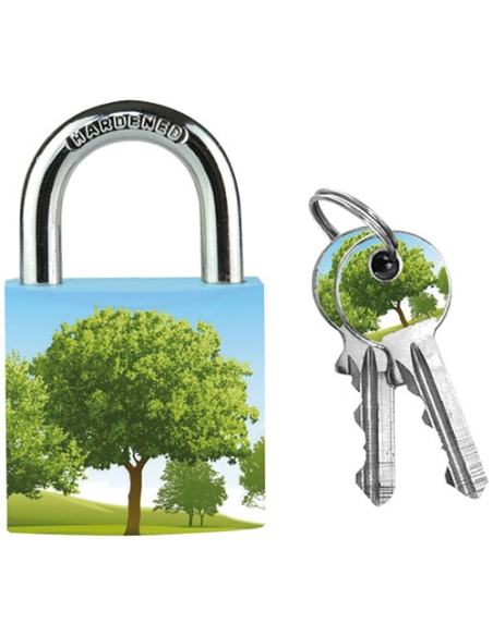 4 Cadenas en métal massif 30mm motifs assortis - MASTER LOCK
