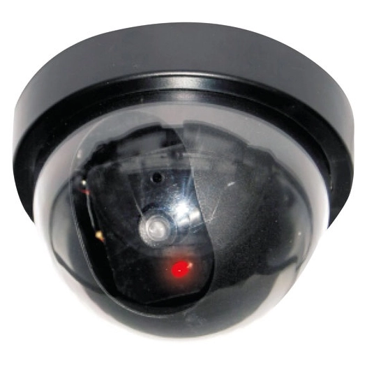 Camera interieure factice dome led dummy - CEEZAM
