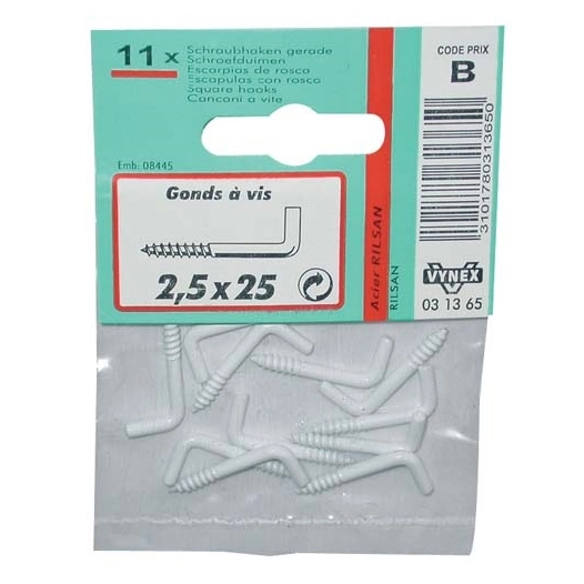 Gond à vis rilsanisé blanc 3 x30 sc - VYNEX