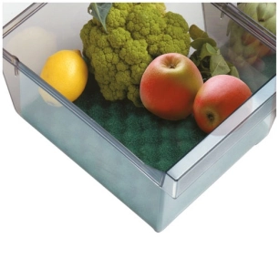 Base conservante pour bac à frigo 47 x 30 cm - RAYEN