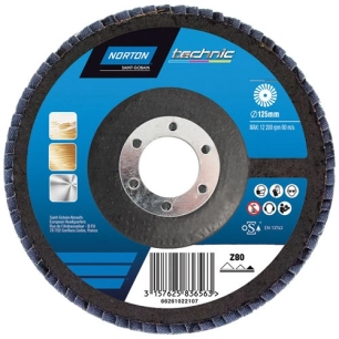 Disque à lamelles convexe sup. fibre technic 125x22 g.40 - NORTON