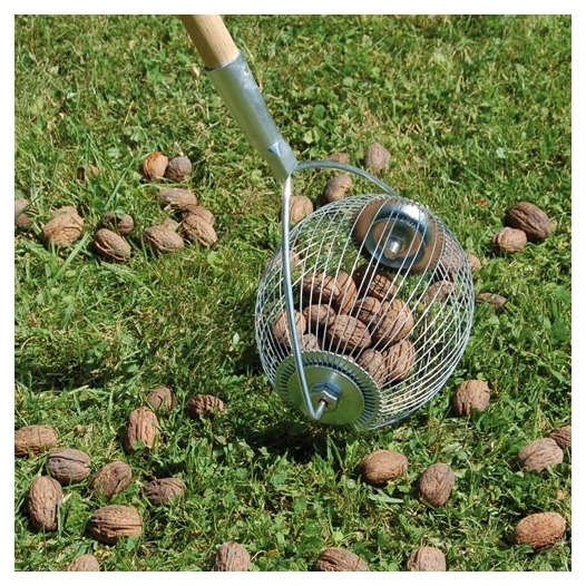 Boule ramasse noix - LUCIFER