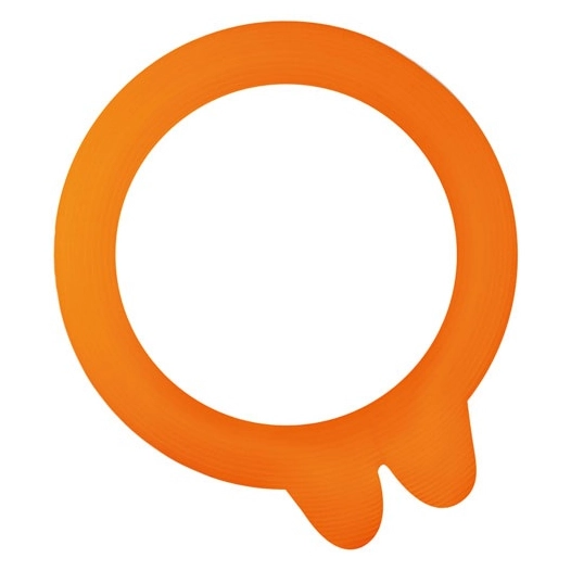 Sachet 10 rondelles universelles 2 oreilles 70 mm - Super - LE PARFAIT