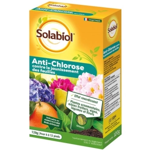 Anti chlorose Ferrostrène 120g /nc - SOLABIOL