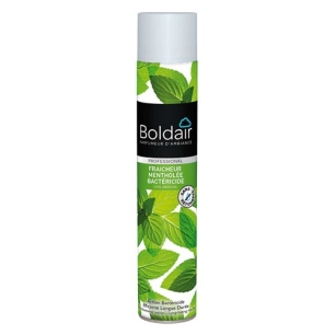Boldair fraîcheur mentholée bactéricide 500ml - BOLDAIR