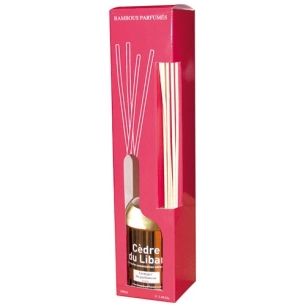 Brins de parfum bambou 100ml cèdre du Liban - LAMPE DU PARFUMEUR
