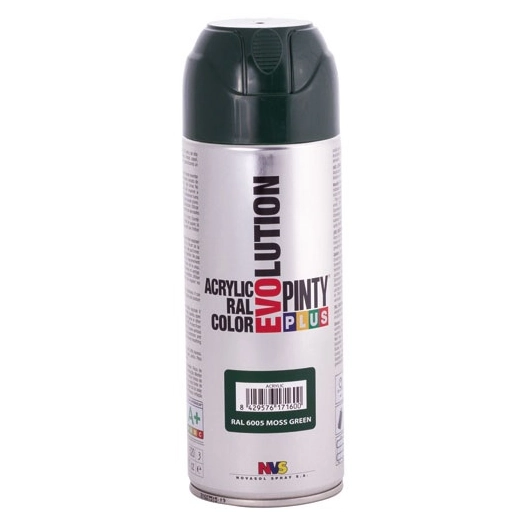 Pinty plus évolution bbe 400ml vert mousse mat ral 6005 - NOVASOL